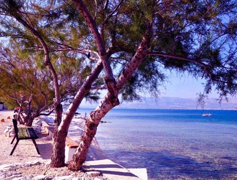 Apartman Bonaca Trogir Eksteriør bilde